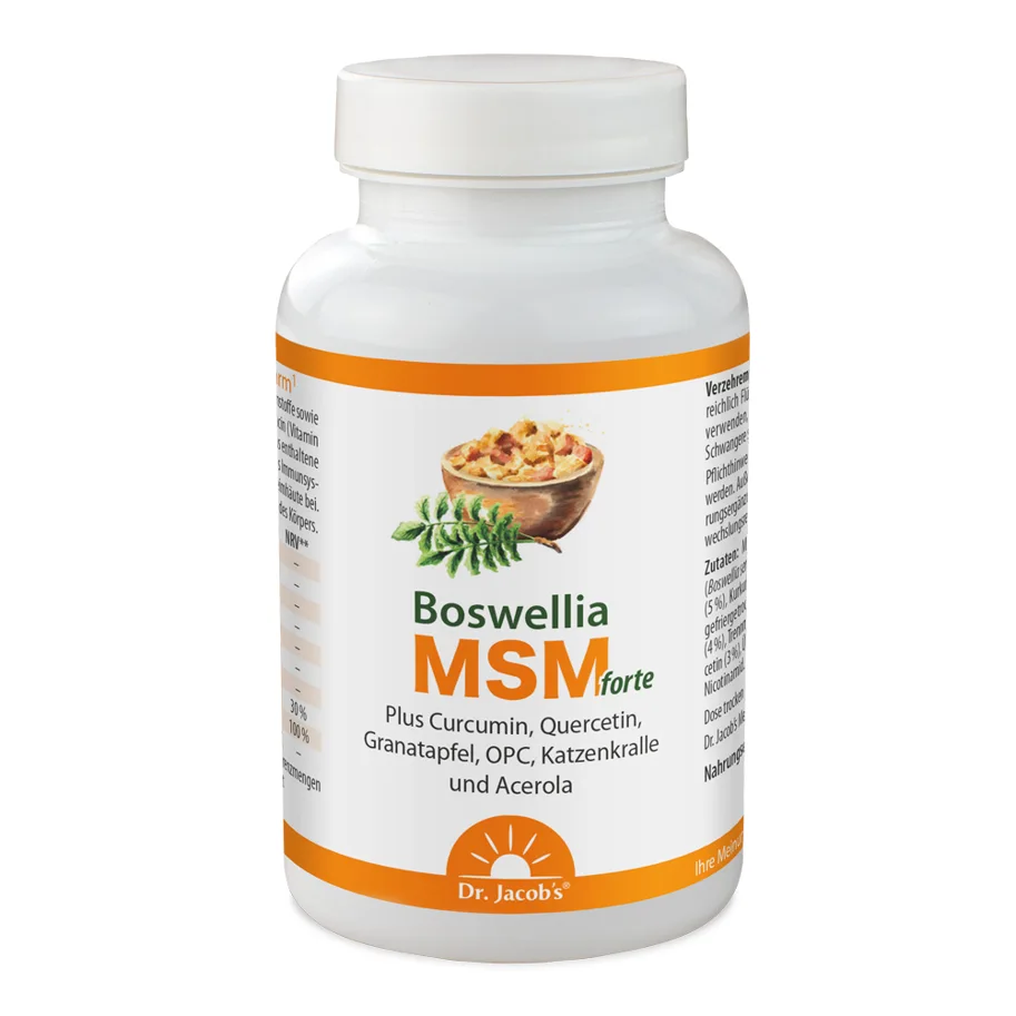 Boswellia MSM forte 90 Tabl.